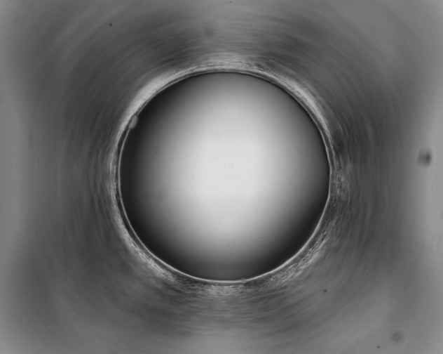 X0000101231389200806271501