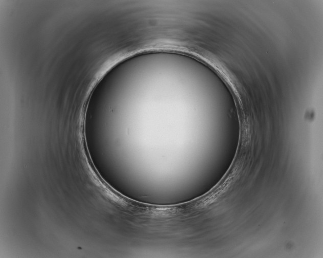 X0000101231390200806271501