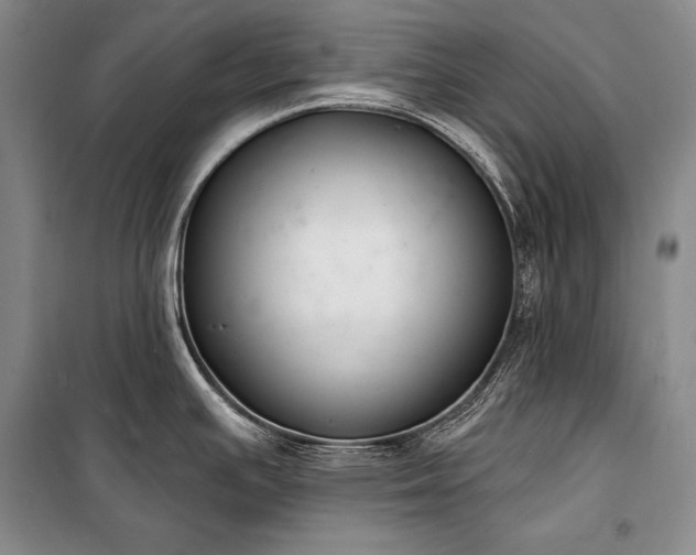 X0000101231391200806271501