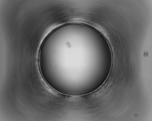 X0000101231392200806271501