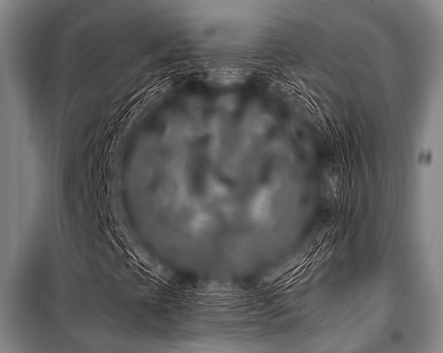 X0000101231393200806271500