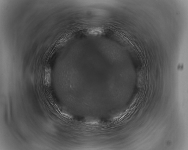 X0000101231394200806271500