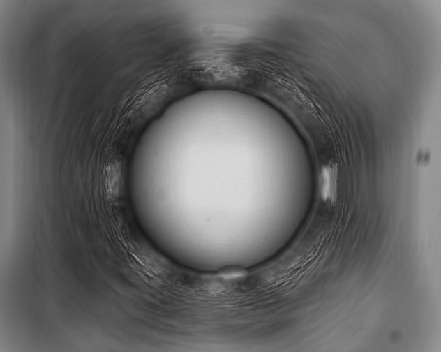 X0000101231395200806271500
