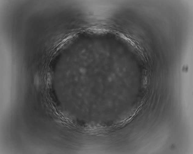 X0000101231397200806271500