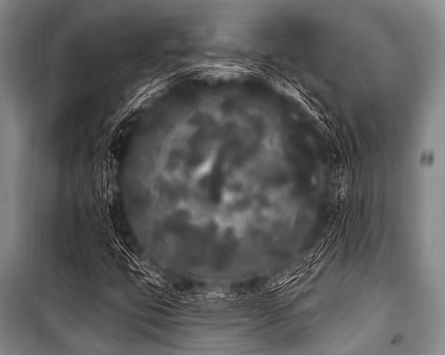 X0000101231399200806271500