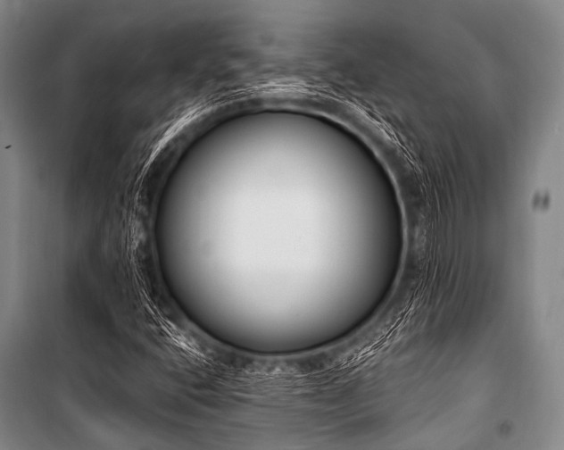 X0000101231400200806271500