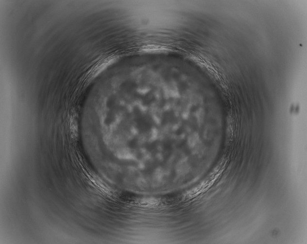 X0000101231401200806271500