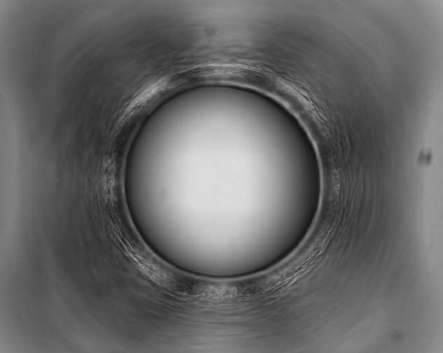 X0000101231403200806271500