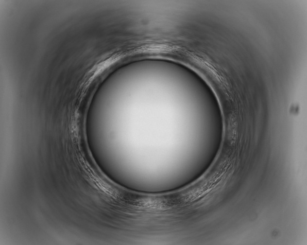 X0000101231404200806271500