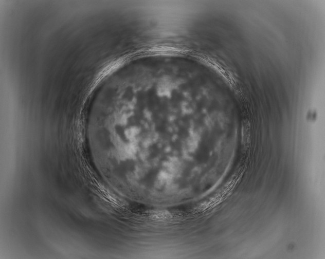 X0000101231405200806271500
