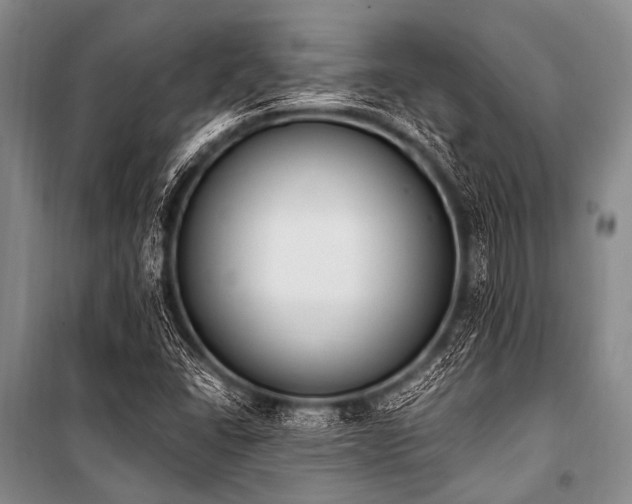 X0000101231406200806271500