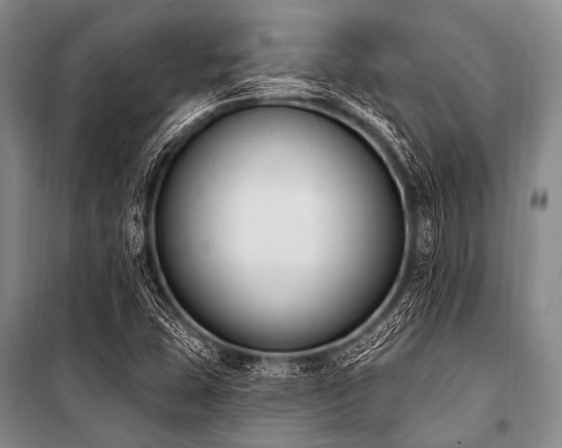 X0000101231407200806271500
