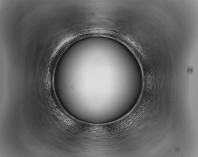 X0000101231408200806271500