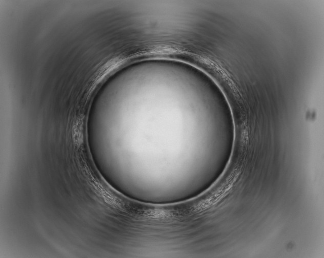 X0000101231409200806271500