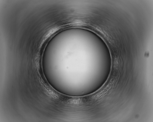 X0000101231410200806271500