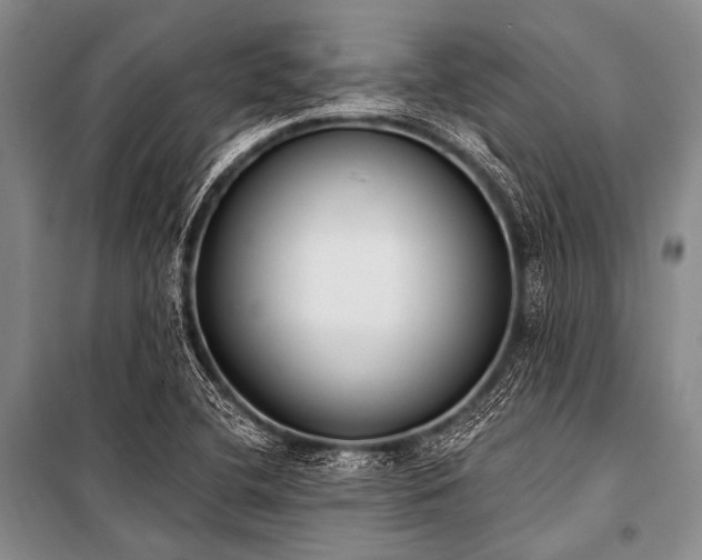X0000101231412200806271500