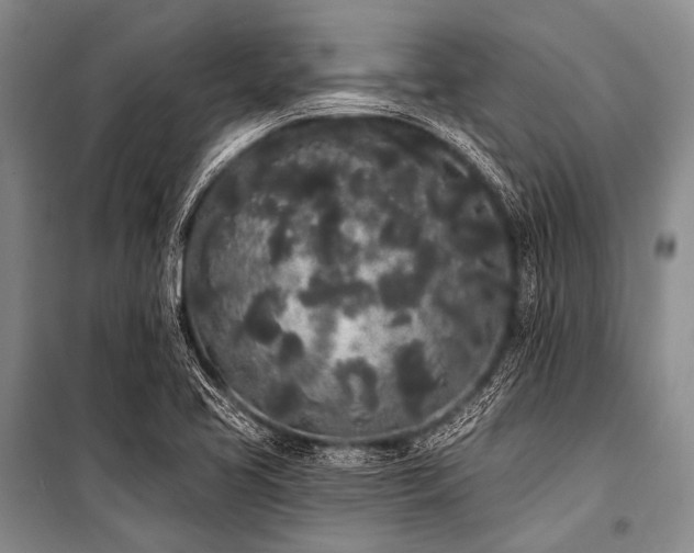 X0000101231413200806271500