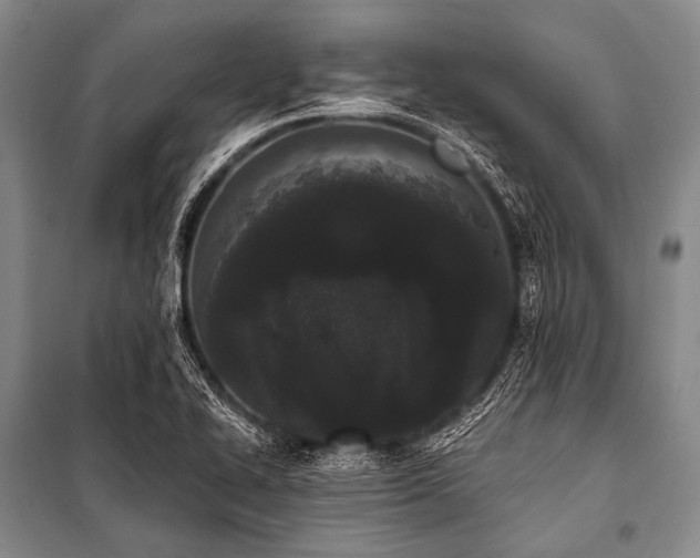 X0000101231414200806271500