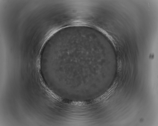 X0000101231415200806271500