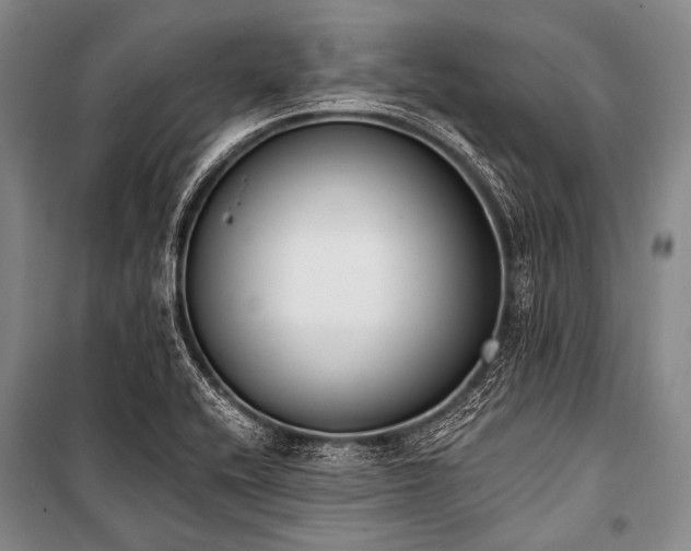 X0000101231416200806271500