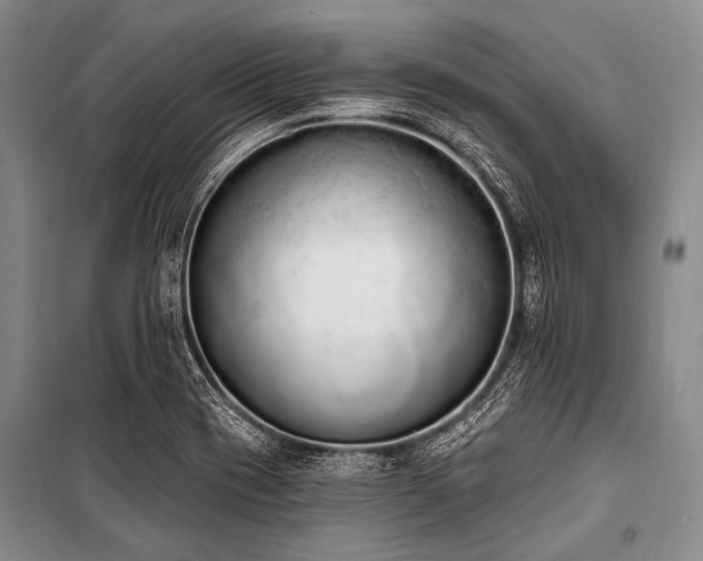 X0000101231417200806271500