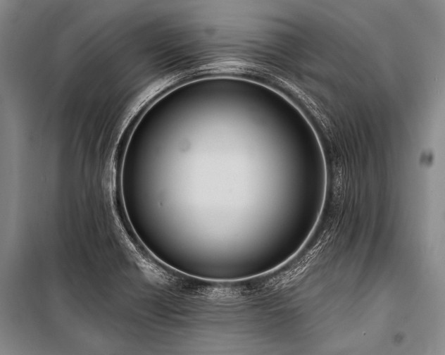 X0000101231418200806271500