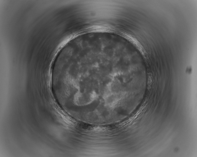 X0000101231419200806271500