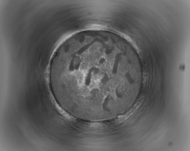 X0000101231421200806271500