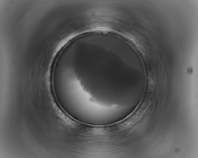 X0000101231422200806271500