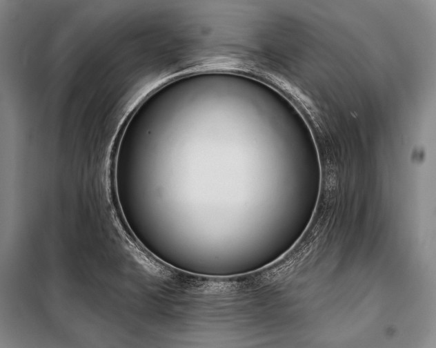 X0000101231423200806271500