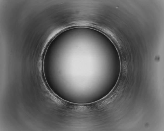 X0000101231424200806271500