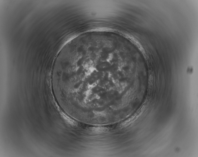 X0000101231425200806271500
