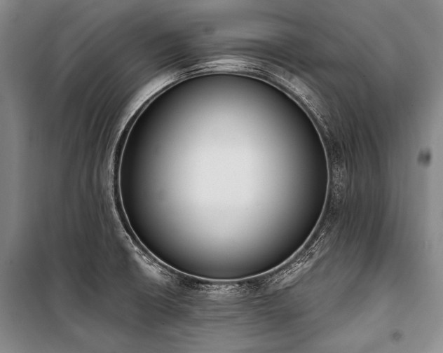 X0000101231426200806271500