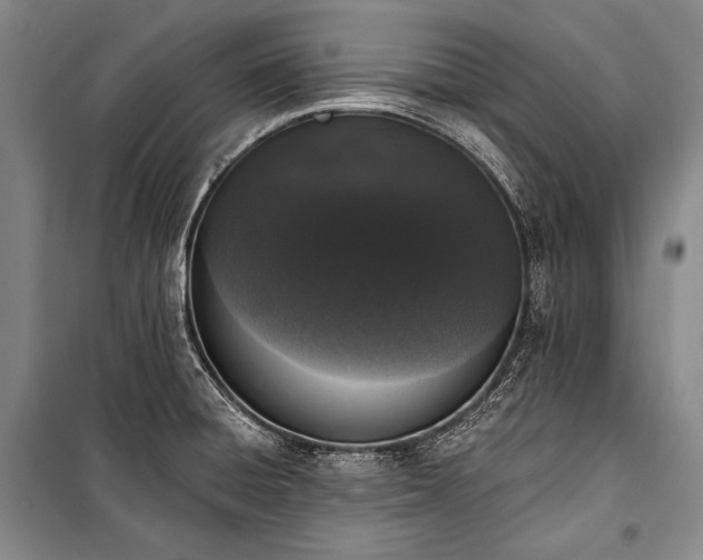 X0000101231428200806271500