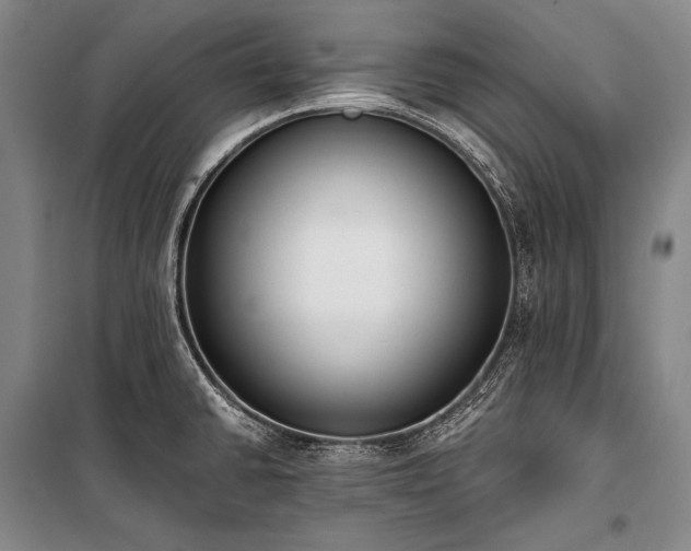X0000101231430200806271501