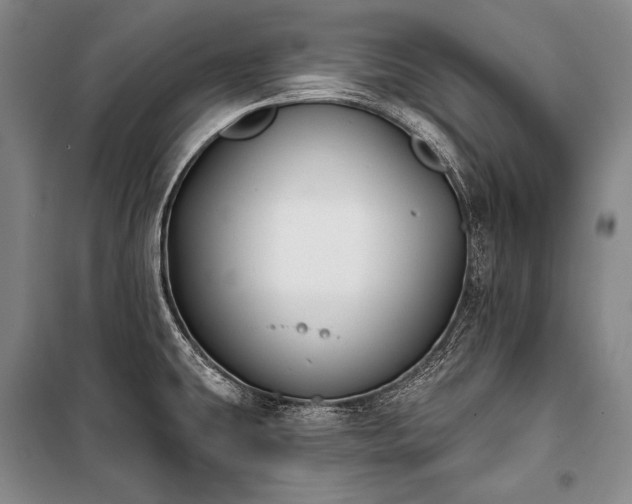 X0000101231431200806271501