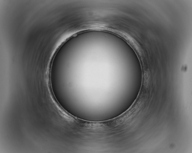 X0000101231432200806271501