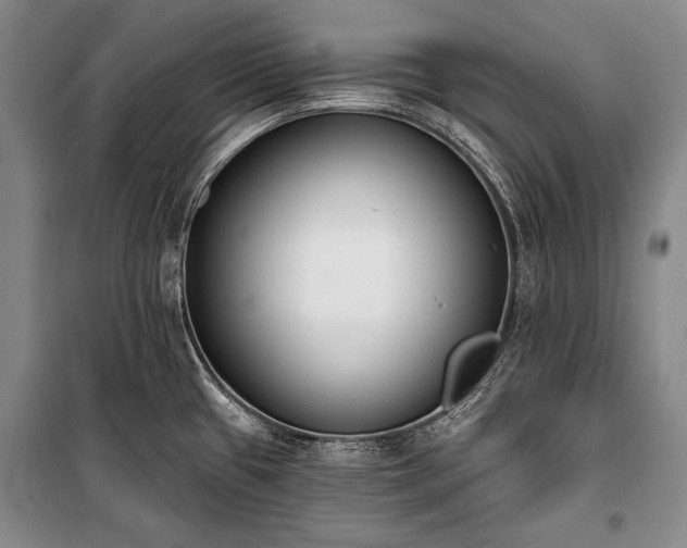 X0000101231433200806271501