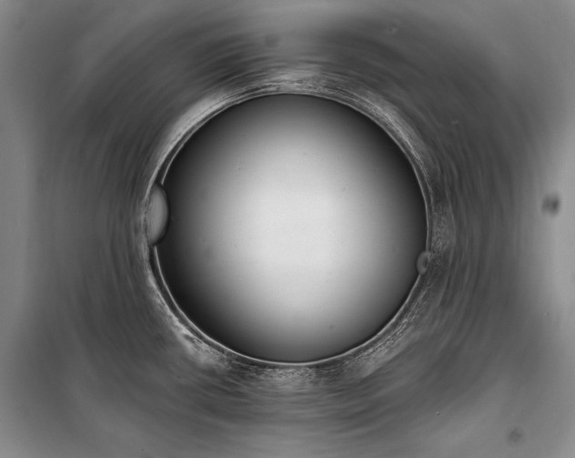 X0000101231434200806271501