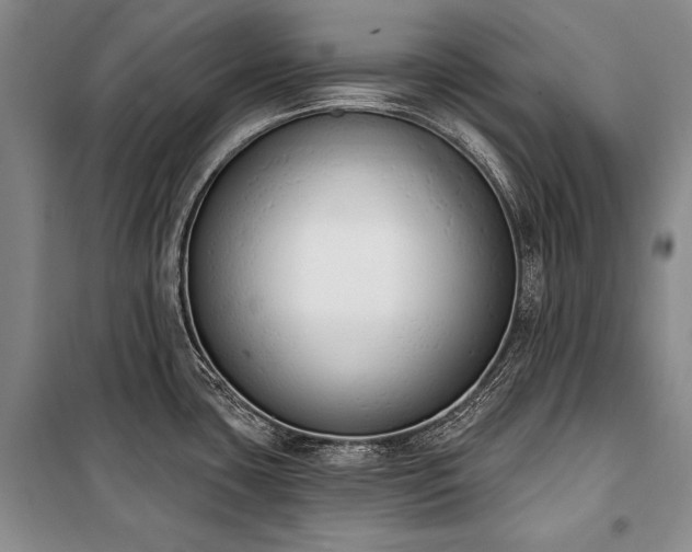 X0000101231435200806271501