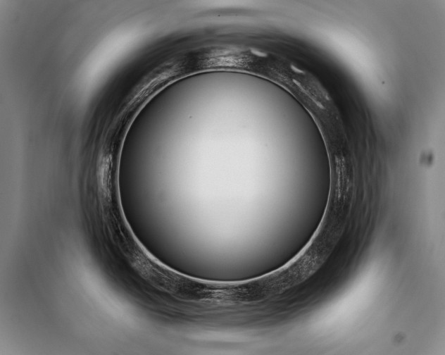 X0000101231438200806271501