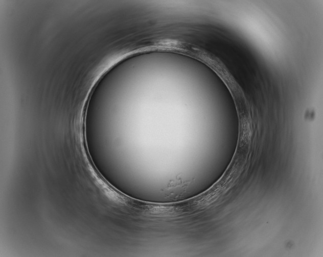 X0000101231439200806271501