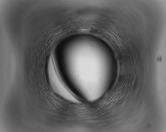 X0000101231441200806271500