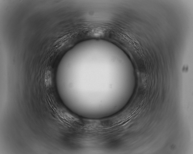 X0000101231442200806271500