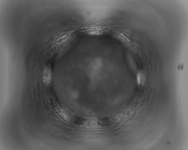 X0000101231444200806271500
