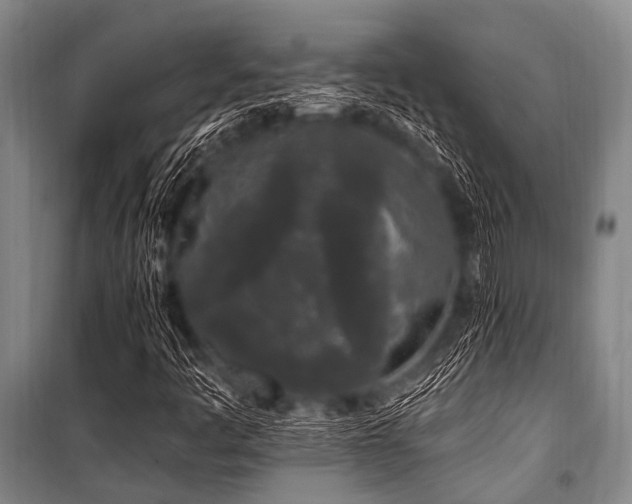 X0000101231445200806271500
