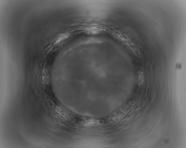 X0000101231446200806271500
