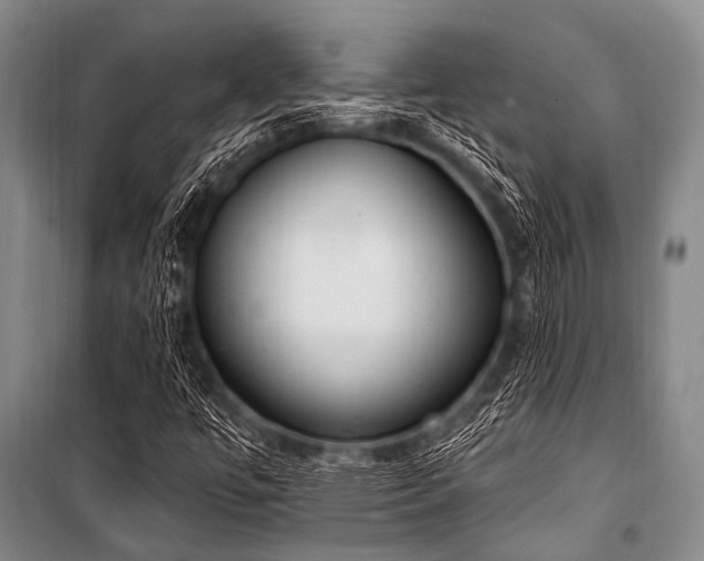 X0000101231447200806271500