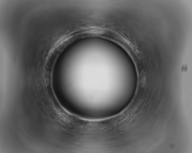 X0000101231448200806271500