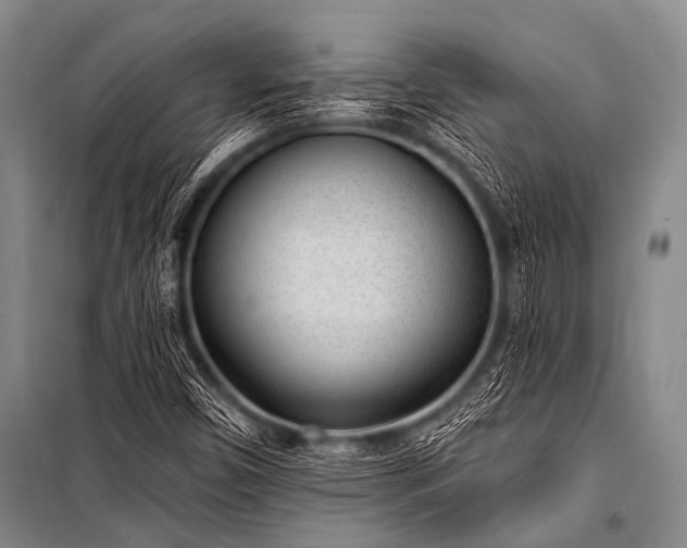 X0000101231450200806271500